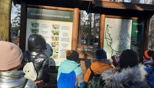 Wycieczka do Cygańskiego Lasu - Ścieżka edukacyjna